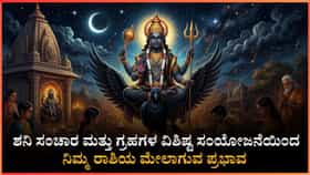 ಶನಿಯ ಕೃಪೆಯಿಂದ ಈ ರಾಶಿಯವರ ದೀರ್ಘಕಾಲದ ಕನಸುಗಳು ನನಸಾಗುವ ಸಮಯ