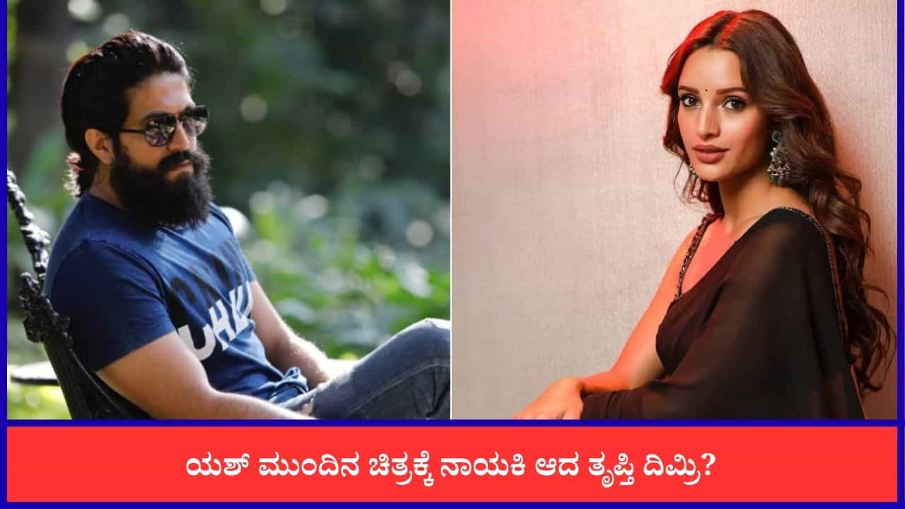 ಮುಂದಿನ ಚಿತ್ರದಲ್ಲಿ ಯಶ್​ಗೆ ಪೊಲೀಸ್ ಪಾತ್ರ? ಐಎಂಡಿಬಿಯಲ್ಲಿ ಲೀಕ್ ಆಯ್ತು ಕಥೆ