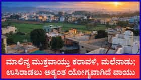 ಮುಂಗಾರು ಮಳೆಗೆ ಶುದ್ಧವಾದ ಕರ್ನಾಟಕದ ವಾಯು