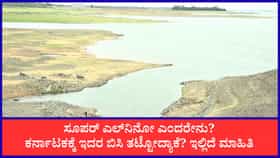 ಸೂಪರ್ ಎಲ್‌ನಿನೋ ಎಫೆಕ್ಟ್: ಕರ್ನಾಟಕದಲ್ಲಿ ಮಳೆ ಕೊರತೆ ತೀವ್ರ, ಬರಗಾಲದ ಛಾಯೆ