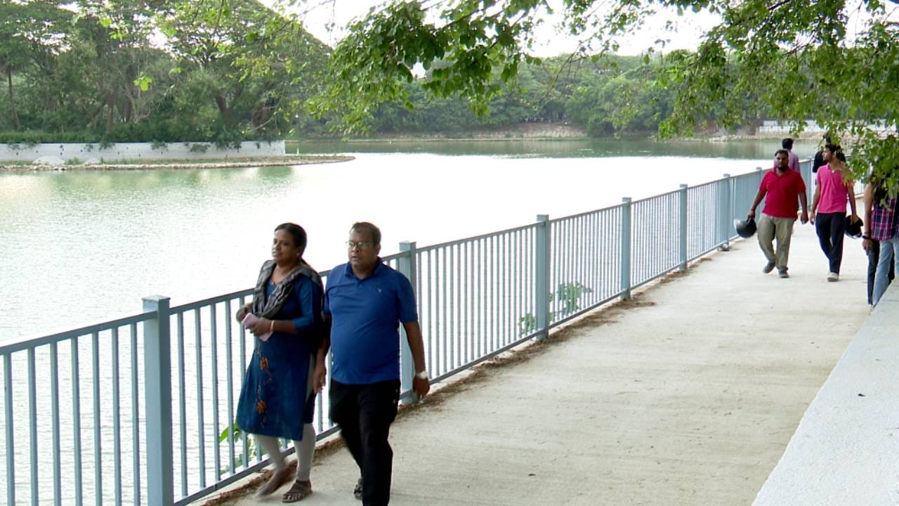 ವೇಗವಾಗಿ ಬೆಳೆಯುತ್ತಿರುವ ಕಾಂಕ್ರೀಟ್ ಸಿಟಿಯಲ್ಲಿ ಅಂತರ್ಜಲ ಹೆಚ್ಚಿಸಲು ಮತ್ತು ಜೀವ ವೈವಿಧ್ಯ ಕಾಪಾಡಲು ಕೆರೆಗಳ ಪುನಶ್ಚೇತನ ಎಷ್ಟು ಅಗತ್ಯ ಎಂಬುದಕ್ಕೆ ಈ ಹಲಸೂರು ಕೆರೆಯೇ ಅತ್ಯುತ್ತಮ ಉದಾಹರಣೆಯಾಗಿದೆ.
