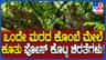 ನೋಡಿ, ಎಂಥಾ ಅದ್ಭುತ ದೃಶ್ಯ! ಒಂದೇ ಮರದ ಮೇಲೆ ಕುಳಿತ ಎರಡು ಚಿರತೆಗಳು