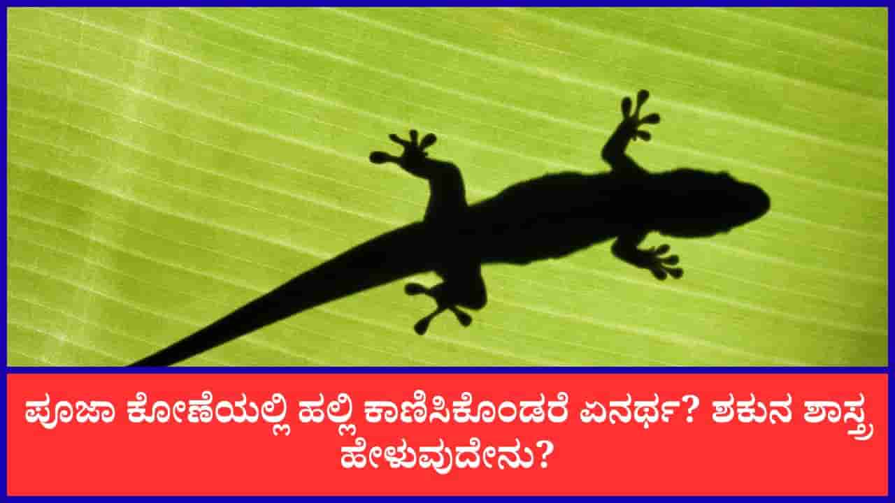 Lizard in Home: ಪೂಜಾ ಕೋಣೆಯಲ್ಲಿ ಹಲ್ಲಿ ಕಾಣಿಸಿಕೊಂಡರೆ ಏನರ್ಥ? ಶಕುನ ಶಾಸ್ತ್ರ ಹೇಳುವುದೇನು?