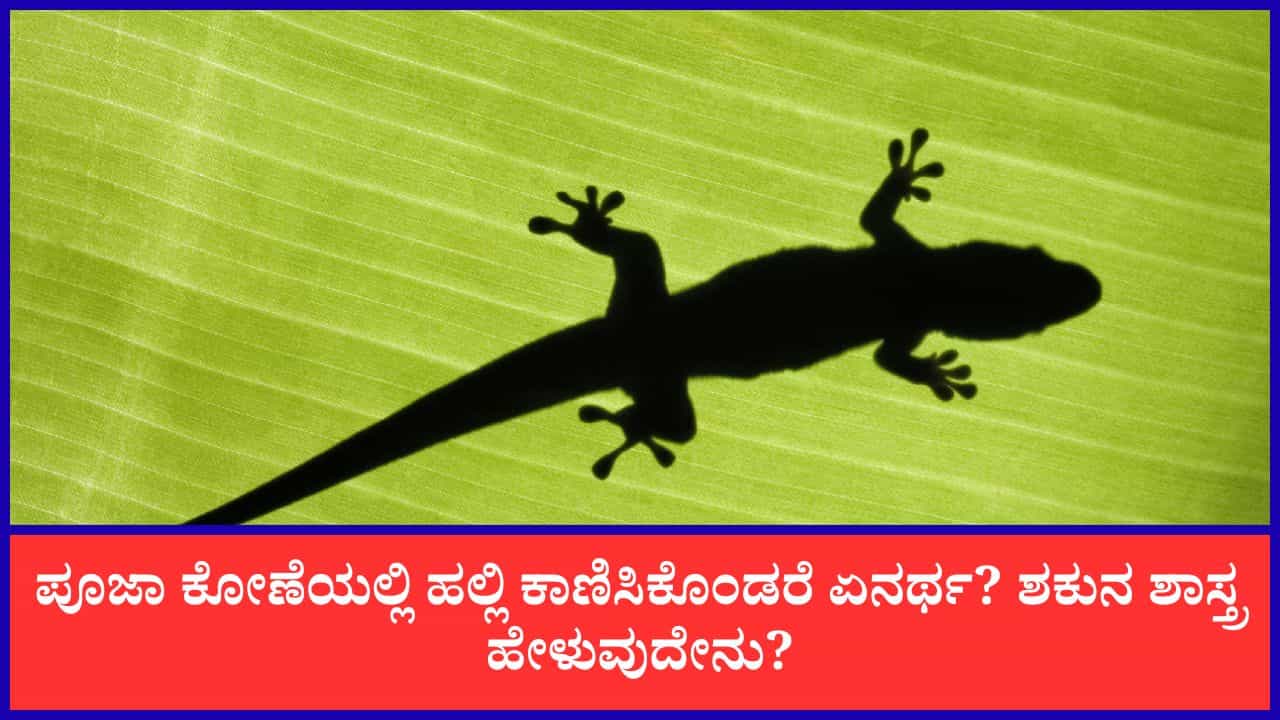 Lizard in Home: ಪೂಜಾ ಕೋಣೆಯಲ್ಲಿ ಹಲ್ಲಿ ಕಾಣಿಸಿಕೊಂಡರೆ ಏನರ್ಥ? ಶಕುನ ಶಾಸ್ತ್ರ ಹೇಳುವುದೇನು? Lizard in Home: ಪೂಜಾ ಕೋಣೆಯಲ್ಲಿ ಹಲ್ಲಿ ಕಾಣಿಸಿಕೊಂಡರೆ ಏನರ್ಥ? ಶಕುನ ಶಾಸ್ತ್ರ ಹೇಳುವುದೇನು?