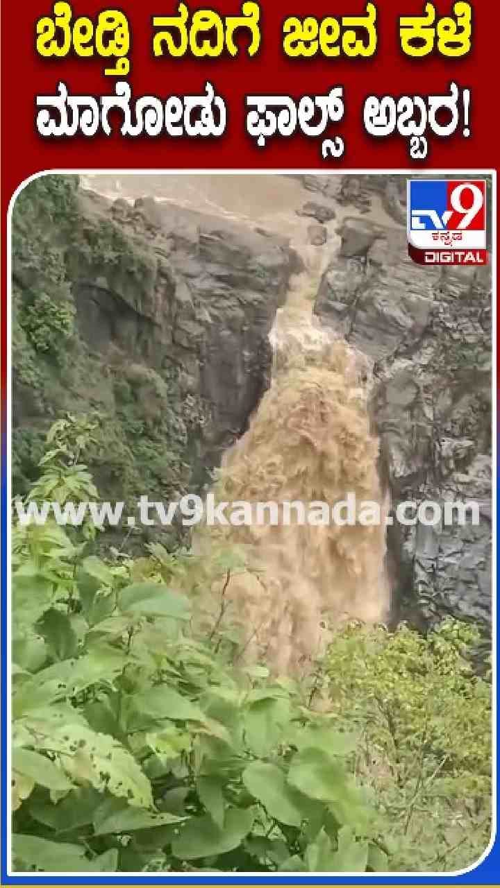 ಮೈದುಂಬಿದ ಮಾಗೋಡ್‌ ಫಾಲ್ಸ್‌