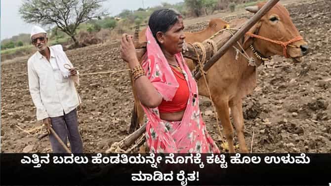 ಎತ್ತಿನ ಬದಲು ಹೆಂಡತಿಯನ್ನೇ ನೊಗಕ್ಕೆ ಕಟ್ಟಿ ಹೊಲ ಉಳುಮೆ ಮಾಡಿದ ರೈತ!