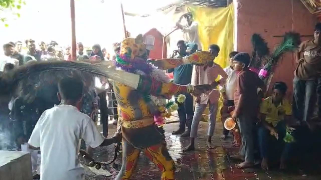 ಹರಕೆ ತೀರಿಸಲು ಭಕ್ತರು ಹುಲಿವೇಷಧಾರಿ ನೃತ್ಯ ಸೇವೆ ನಡೆಸಿದರು. ದೇಹಕ್ಕೆ ಹಳದಿ-ಕಪ್ಪು ಬಣ್ಣ ಬಳಿದುಕೊಂಡು  ವೇಷಧಾರಿಗಳು ಕುಣಿದು ಎಲ್ಲರ ಗಮನ ಸೆಳೆದರು. ಎರಡು ಸಮುದಾಯದ ಜನರು ಅಲಾವಿ ದೇವರಿಗೆ ಸಕ್ಕರೆ ನೈವೇದ್ಯ ಅರ್ಪಿಸಿ, ದೇವರ ಕೃಪೆಗೆ ಪಾತ್ರರಾದರು. 
