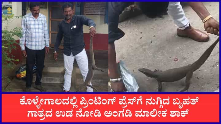 ಕೊಳ್ಳೇಗಾಲದಲ್ಲಿ ಪ್ರಿಂಟಿಂಗ್ ಪ್ರೆಸ್ಗೆ ನುಗ್ಗಿದ ಬೃಹತ್ ಗಾತ್ರದ ಉಡ ಕೊಳ್ಳೇಗಾಲದಲ್ಲಿ ಪ್ರಿಂಟಿಂಗ್ ಪ್ರೆಸ್ಗೆ ನುಗ್ಗಿದ ಬೃಹತ್ ಗಾತ್ರದ ಉಡ