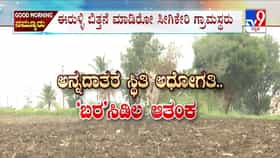 ಉತ್ತರ ಕರ್ನಾಟಕದಲ್ಲಿ ಮಳೆ ಕೊರತೆಯ ಪರಿಣಾಮ ಭೀಕರ: ಮಾಯವಾಯ್ತು ಮುಂಗಾರು, ಹೇಳತೀರದಾಯ್ತು ಅನ್ನದಾತರ ಸ್ಥಿತಿ