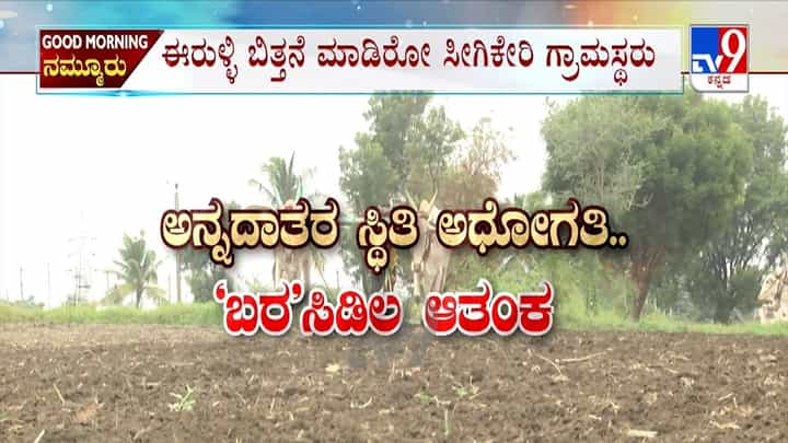 ಉತ್ತರ ಕರ್ನಾಟಕದಲ್ಲಿ ಮಳೆ ಕೊರತೆಯ ಪರಿಣಾಮ ಭೀಕರ: ಮಾಯವಾಯ್ತು ಮುಂಗಾರು, ಹೇಳತೀರದಾಯ್ತು ಅನ್ನದಾತರ ಸ್ಥಿತಿ ಉತ್ತರ ಕರ್ನಾಟಕದಲ್ಲಿ ಮಳೆ ಕೊರತೆಯ ಪರಿಣಾಮ ಭೀಕರ: ಮಾಯವಾಯ್ತು ಮುಂಗಾರು, ಹೇಳತೀರದಾಯ್ತು ಅನ್ನದಾತರ ಸ್ಥಿತಿ