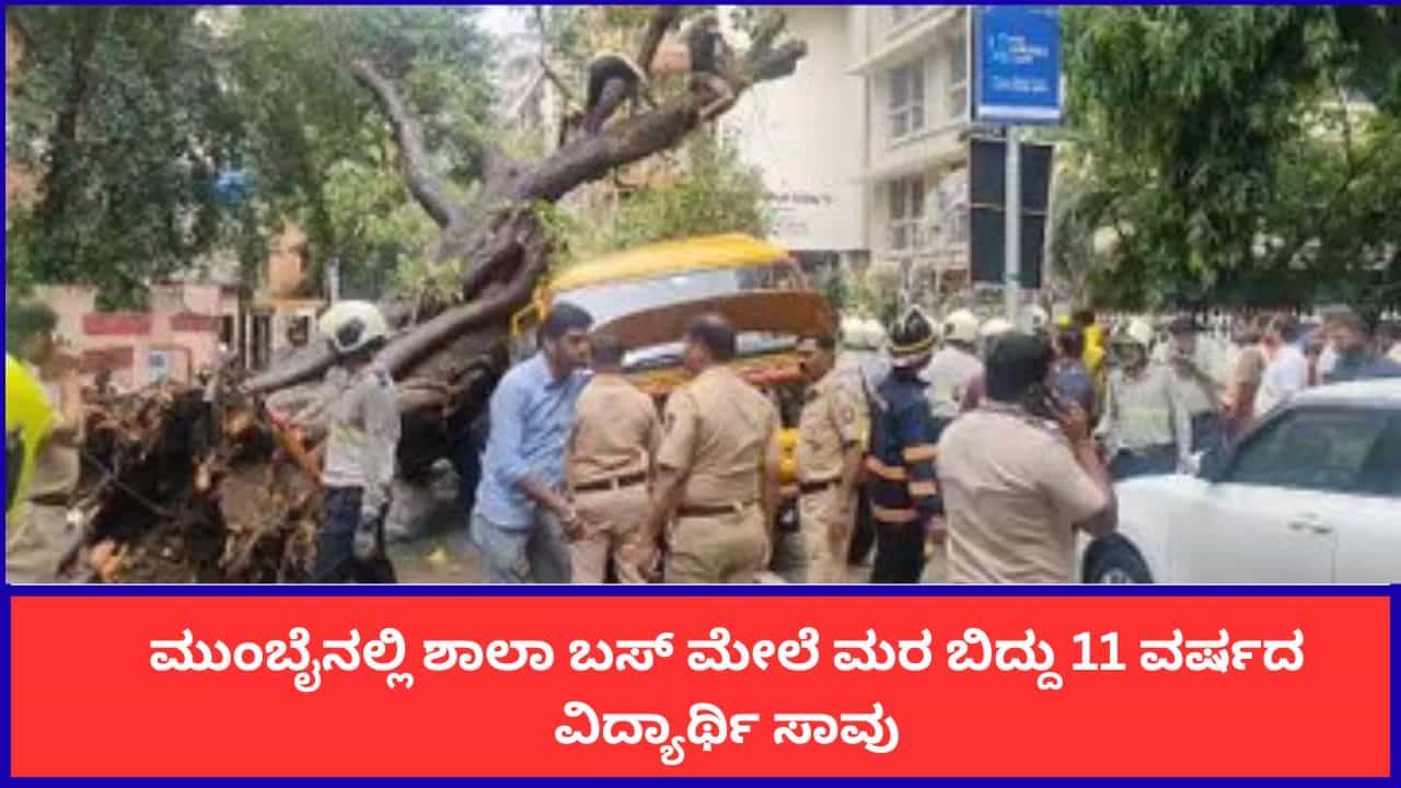 ಮುಂಬೈನಲ್ಲಿ ಭೀಕರ ದುರಂತ; ಶಾಲಾ ಬಸ್ ಮೇಲೆ ದೊಡ್ಡ ಮರ ಬಿದ್ದು 11 ವರ್ಷದ ವಿದ್ಯಾರ್ಥಿ ಸಾವು
