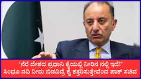 ನಮ್ಮ ನೀರು ತಡೆದವರ ಕೈ ಕತ್ತರಿಸುತ್ತೇವೆ: ಮೋದಿಗೆ ಪಾಕ್ ಪರೋಕ್ಷ ಬೆದರಿಕೆ