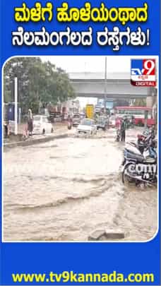 ಮಳೆಗೆ ರಸ್ತೆ ಜಲಾವೃತ: ವಾಹನ ಸವಾರರ ಪರದಾಟ