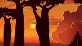 ಬುದ್ಧಿವಂತರಿಗೊಂದು ಸವಾಲ್;‌ ಈ ಚಿತ್ರದಲ್ಲಿರುವ ಜಿರಾಫೆಯನ್ನು ಗುರುತಿಸುವಿರಾ