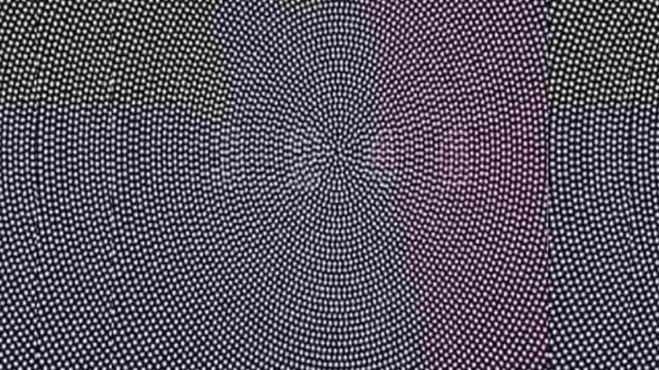 Optical Illusion: ನಿಮಗೊಂದು ಚಾಲೆಂಜ್; ಈ ಚಿತ್ರದಲ್ಲಿರುವ ಸಂಖ್ಯೆಯನ್ನು ಹುಡುಕಿ ನೋಡೋಣ