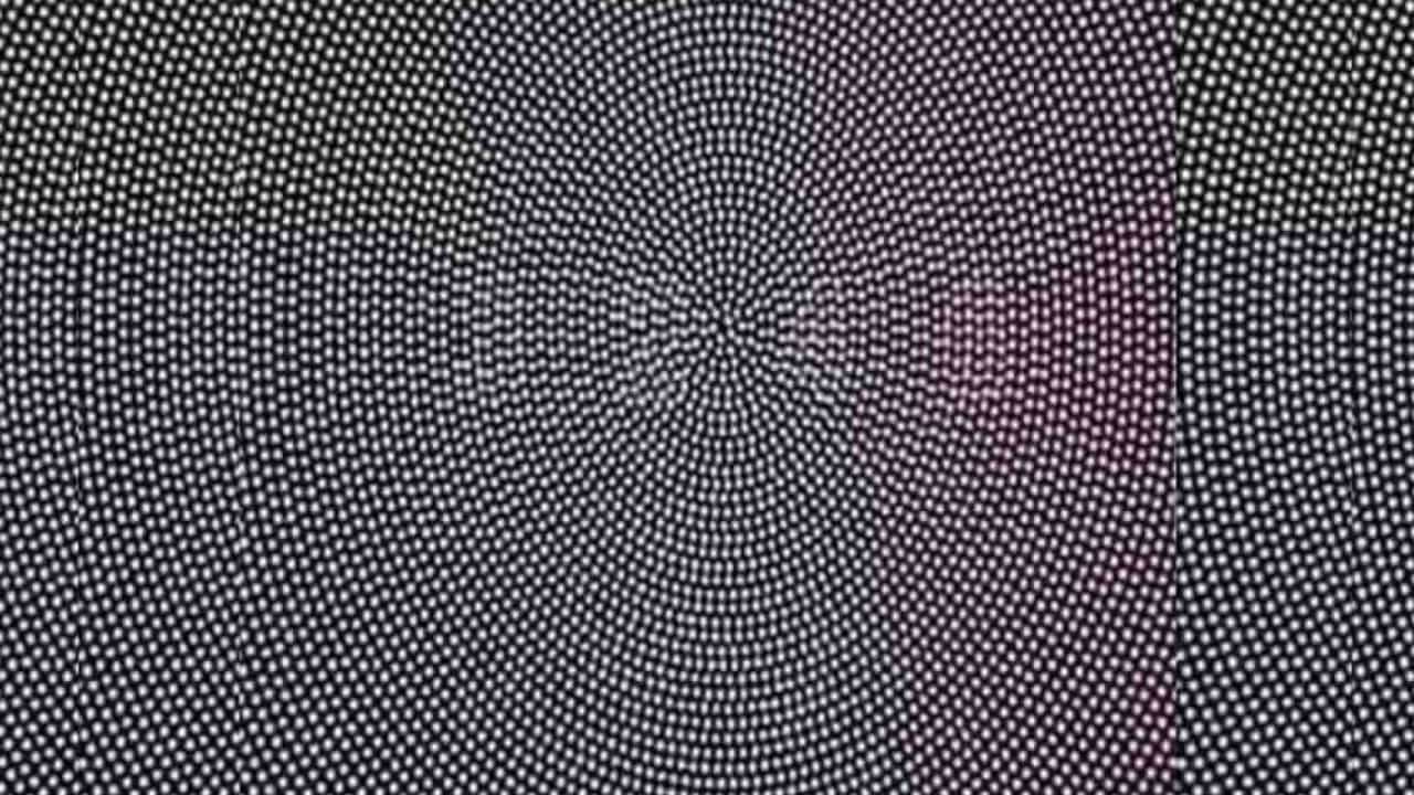 Optical Illusion: ನಿಮಗೊಂದು ಚಾಲೆಂಜ್; ಈ ಚಿತ್ರದಲ್ಲಿರುವ ಸಂಖ್ಯೆಯನ್ನು ಹುಡುಕಿ ನೋಡೋಣ Optical Illusion: ನಿಮಗೊಂದು ಚಾಲೆಂಜ್; ಈ ಚಿತ್ರದಲ್ಲಿರುವ ಸಂಖ್ಯೆಯನ್ನು ಹುಡುಕಿ ನೋಡೋಣ