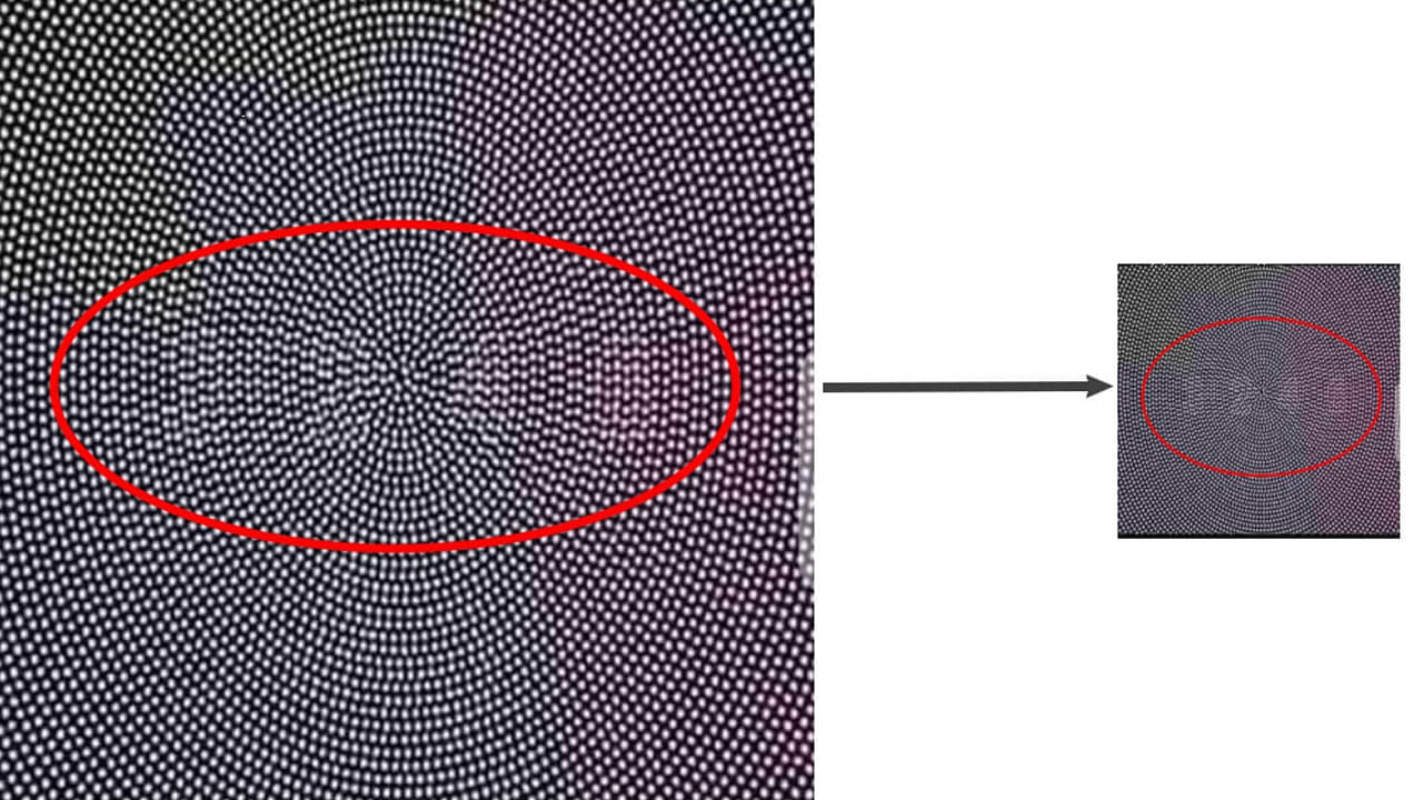 Optical Illusion Answer