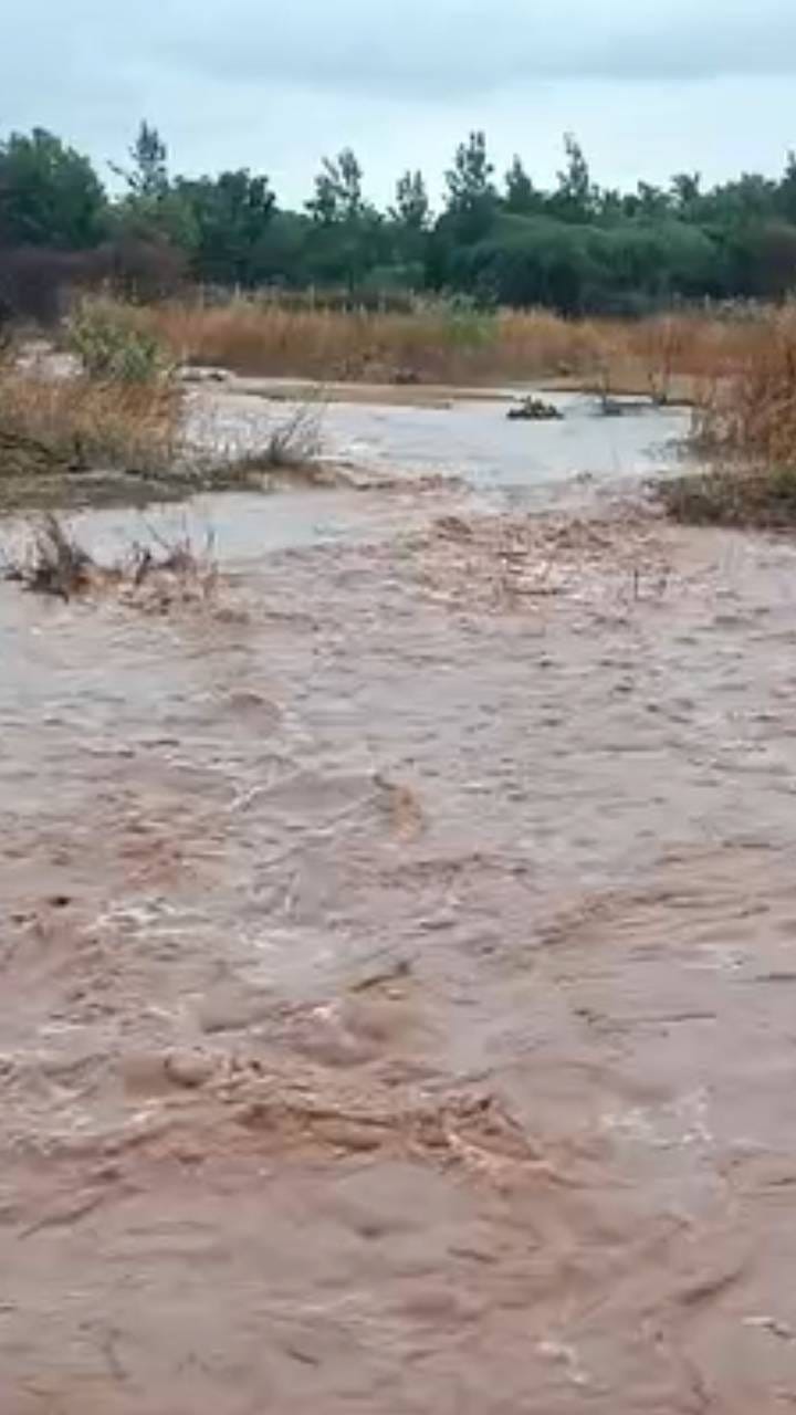 ಮಳೆ ಅವಾಂತರ: ಜೀವದ ಹಂಗು ತೊರೆದು ಸಾಗುತ್ತಿರುವ ಜನ