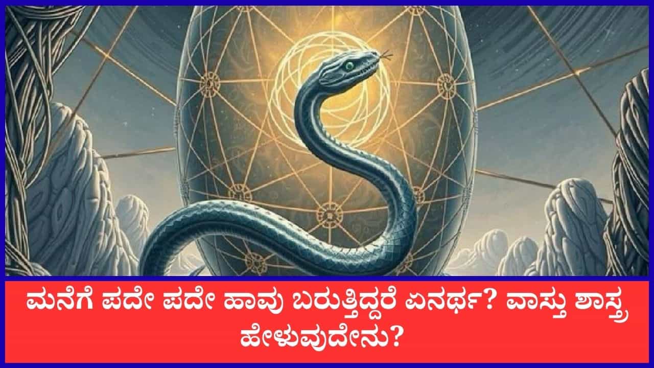 Vasthu Shastra: ಮನೆಗೆ ಪದೇ ಪದೇ ಹಾವು ಬರುತ್ತಿದ್ದರೆ ಏನರ್ಥ? ವಾಸ್ತು ಶಾಸ್ತ್ರ ಹೇಳುವುದೇನು?