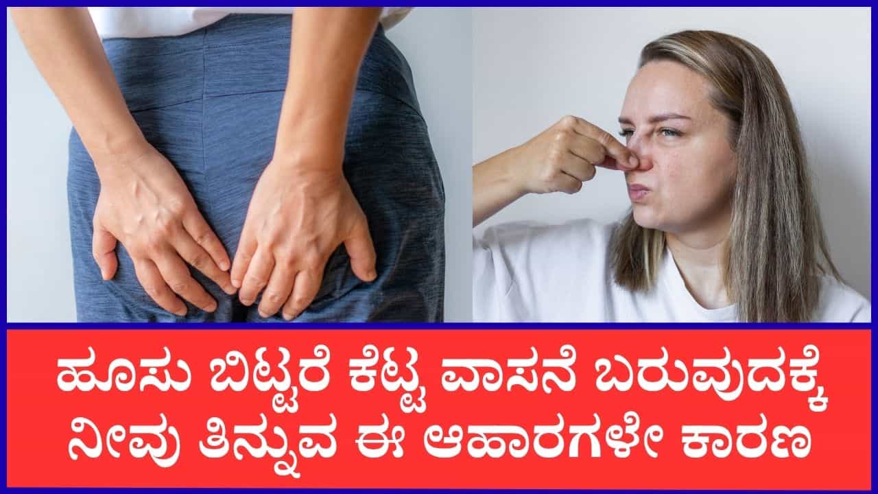 ಹೂಸು ಬಿಡುವಾಗ ಕೆಟ್ಟ ವಾಸನೆ ಯಾಕೆ ಬರುತ್ತೆ ಗೊತ್ತಾ? ಇದರ ಹಿಂದಿರುವ ವೈಜ್ಞಾನಿಕ ಕಾರಣಗಳು ಇಲ್ಲಿವೆ ಹೂಸು ಬಿಡುವಾಗ ಕೆಟ್ಟ ವಾಸನೆ ಯಾಕೆ ಬರುತ್ತೆ ಗೊತ್ತಾ? ಇದರ ಹಿಂದಿರುವ ವೈಜ್ಞಾನಿಕ ಕಾರಣಗಳು ಇಲ್ಲಿವೆ