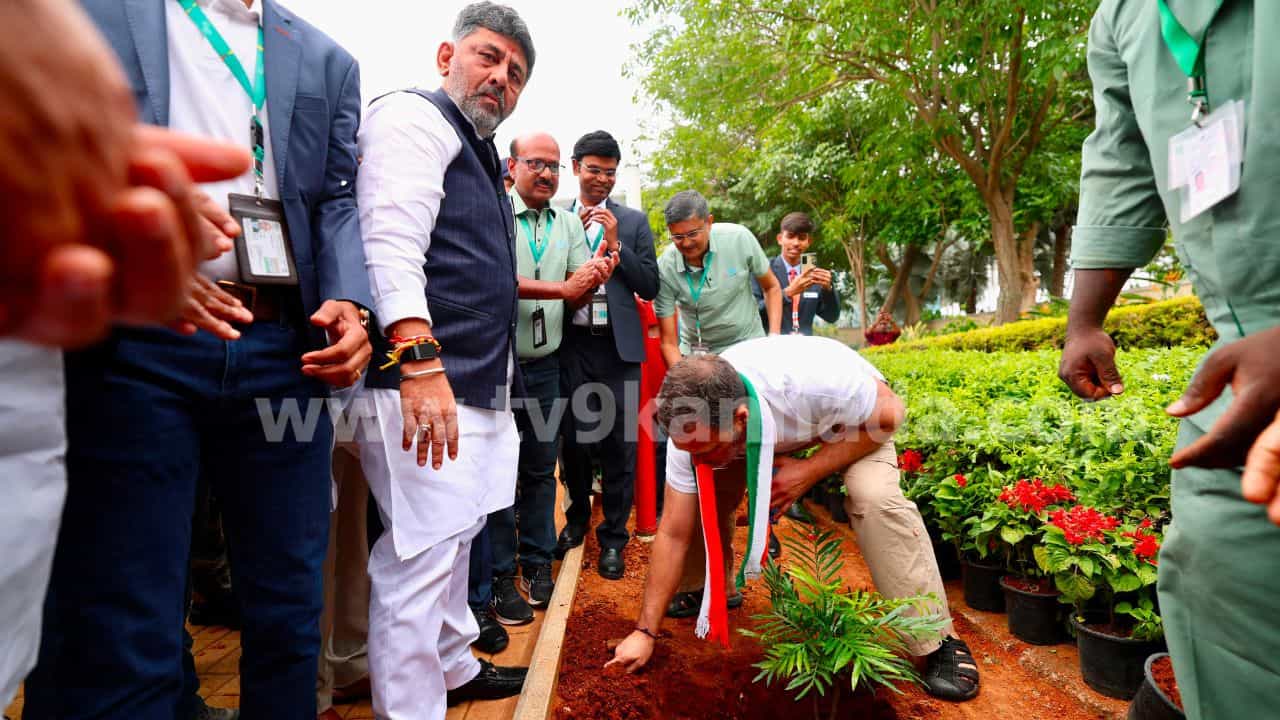 ಕೆಂಪೇಗೌಡ ಜಯಂತಿಯಂದು ಬೆಂಗಳೂರಿನಲ್ಲಿ 15 ಲಕ್ಷ ಸಸಿ ನೆಡಲು ಸಿದ್ಧತೆ! ಗಿನ್ನಿಸ್ ದಾಖಲೆ ಬರೆಯಲು ಬಿಡಿಎ ಪ್ಲಾನ್ ಕೆಂಪೇಗೌಡ ಜಯಂತಿಯಂದು ಬೆಂಗಳೂರಿನಲ್ಲಿ 15 ಲಕ್ಷ ಸಸಿ ನೆಡಲು ಸಿದ್ಧತೆ! ಗಿನ್ನಿಸ್ ದಾಖಲೆ ಬರೆಯಲು ಬಿಡಿಎ ಪ್ಲಾನ್