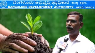 ಒಂದೇ ದಿನ 15 ಲಕ್ಷ ಸಸಿನೆಟ್ಟು ಗಿನ್ನಿಸ್​​ ದಾಖಲೆ ಬರೆಯಲು ಮುಂದಾದ ಬಿಡಿಎ: ಮಾಹಿತಿ ಇಲ್ಲಿದೆ