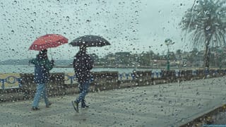Karnataka Weather Forecast: ಮುಂದಿನ 24 ಗಂಟೆಗಳಲ್ಲಿ ಬೆಂಗಳೂರು ಸೇರಿ ರಾಜ್ಯದ ಹಲವೆಡೆ ಮಳೆ