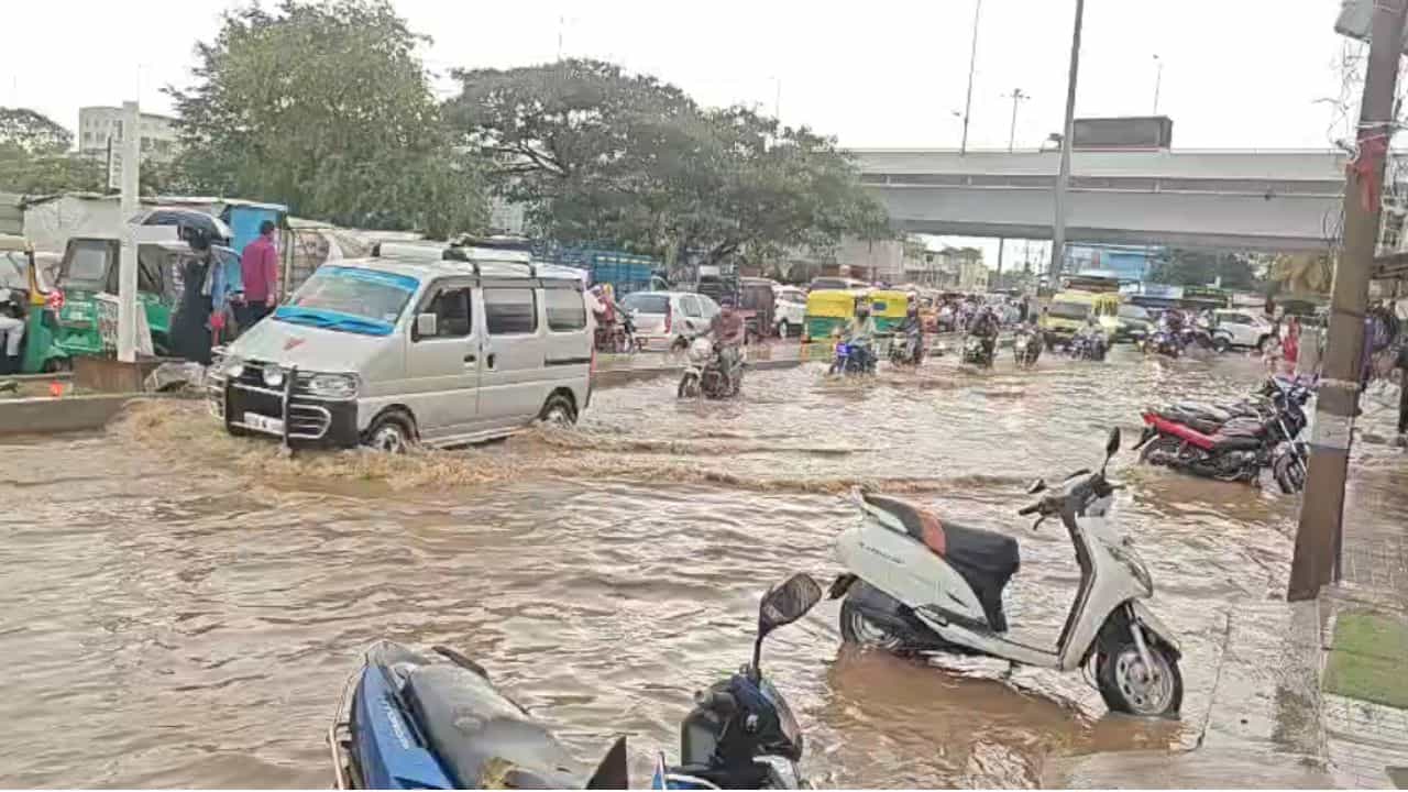 Karnataka Weather Forecast: ರಾಜ್ಯದಲ್ಲಿ 2-3 ದಿನ ಮಳೆ ಅಬ್ಬರ; ಎಲ್ಲೆಲ್ಲಿ ವರುಣಾರ್ಭಟ? Karnataka Weather Forecast: ರಾಜ್ಯದಲ್ಲಿ 2-3 ದಿನ ಮಳೆ ಅಬ್ಬರ; ಎಲ್ಲೆಲ್ಲಿ ವರುಣಾರ್ಭಟ?