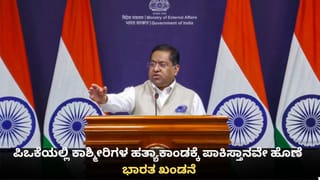 ಪಿಒಕೆಯಲ್ಲಿ ಕಾಶ್ಮೀರಿಗಳ ಹತ್ಯಾಕಾಂಡಕ್ಕೆ ಪಾಕಿಸ್ತಾನವೇ ಹೊಣೆ; ಭಾರತ ಖಂಡನೆ