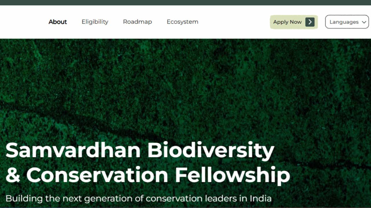 Samvardhan Fellowship: ಯುವ ಪರಿಸರ ಪ್ರೇಮಿಗಳಿಗೆ ಸುವರ್ಣಾವಕಾಶ; 'ಸಂವರ್ಧನ್ ಫೆಲೋಶಿಪ್'ಗೆ ಅರ್ಜಿ ಆಹ್ವಾನ, 3 ಲಕ್ಷ ರೂ. ನೆರವು! Samvardhan Fellowship: ಯುವ ಪರಿಸರ ಪ್ರೇಮಿಗಳಿಗೆ ಸುವರ್ಣಾವಕಾಶ; 'ಸಂವರ್ಧನ್ ಫೆಲೋಶಿಪ್'ಗೆ ಅರ್ಜಿ ಆಹ್ವಾನ, 3 ಲಕ್ಷ ರೂ. ನೆರವು!