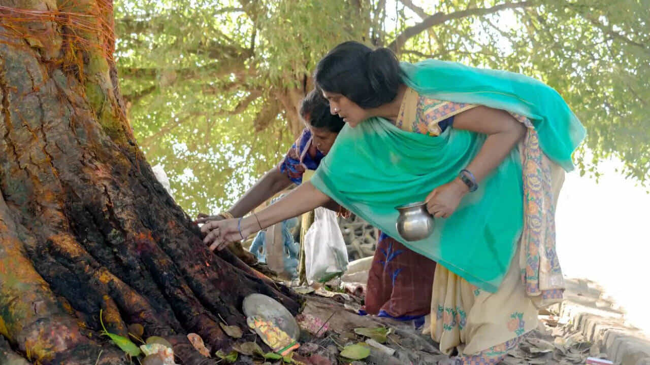 Shani Dosha Relief: ಶನಿವಾರದಂದು ಯಾವ ಮರವನ್ನು ಪೂಜಿಸುವುದು ಶುಭ? ಇಲ್ಲಿದೆ ಸಂಪೂರ್ಣ ಮಾಹಿತಿ Shani Dosha Relief: ಶನಿವಾರದಂದು ಯಾವ ಮರವನ್ನು ಪೂಜಿಸುವುದು ಶುಭ? ಇಲ್ಲಿದೆ ಸಂಪೂರ್ಣ ಮಾಹಿತಿ