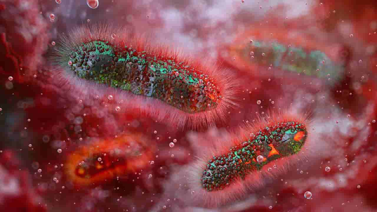 Shigella Infection: ಏನಿದು ಶಿಗೆಲ್ಲೋಸಿಸ್ ಸೋಂಕು? ಕೇರಳದಲ್ಲಿ ಹೊಸ ವೈರಲ್ ಸೋಂಕಿಗೆ ಜನ ಹೆದರುತ್ತಿರುವುದಕ್ಕೆ ಕಾರಣವೇನು?