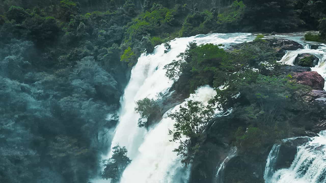 ಆನೆಗಳ ವಾಸಸ್ಥಳಕ್ಕೆ ಧಕ್ಕೆ ಆತಂಕ: ಶಿವನಸಮುದ್ರದ ಮೇಲ್ಭಾಗದಲ್ಲಿ ಮಿನಿ ಜಲವಿದ್ಯುತ್ ಯೋಜನೆಗೆ ವಿರೋಧ