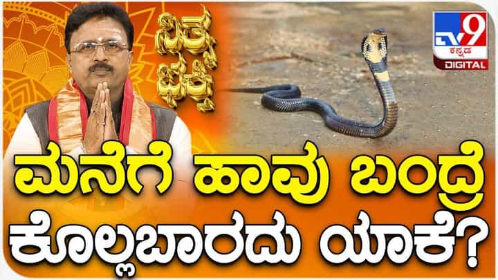 Daily Devotional: ಮನೆಗೆ ಹಾವು ಬಂದ್ರೆ ಕೊಲ್ಲಬಾರದು ಯಾಕೆ? Daily Devotional: ಮನೆಗೆ ಹಾವು ಬಂದ್ರೆ ಕೊಲ್ಲಬಾರದು ಯಾಕೆ?