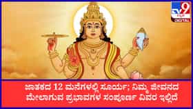 ಜಾತಕದ 12 ಮನೆಗಳಲ್ಲಿ ಸೂರ್ಯ; ನಿಮ್ಮ ಜೀವನದ ಮೇಲಾಗುವ ಪ್ರಭಾವಗಳ ವಿವರ
