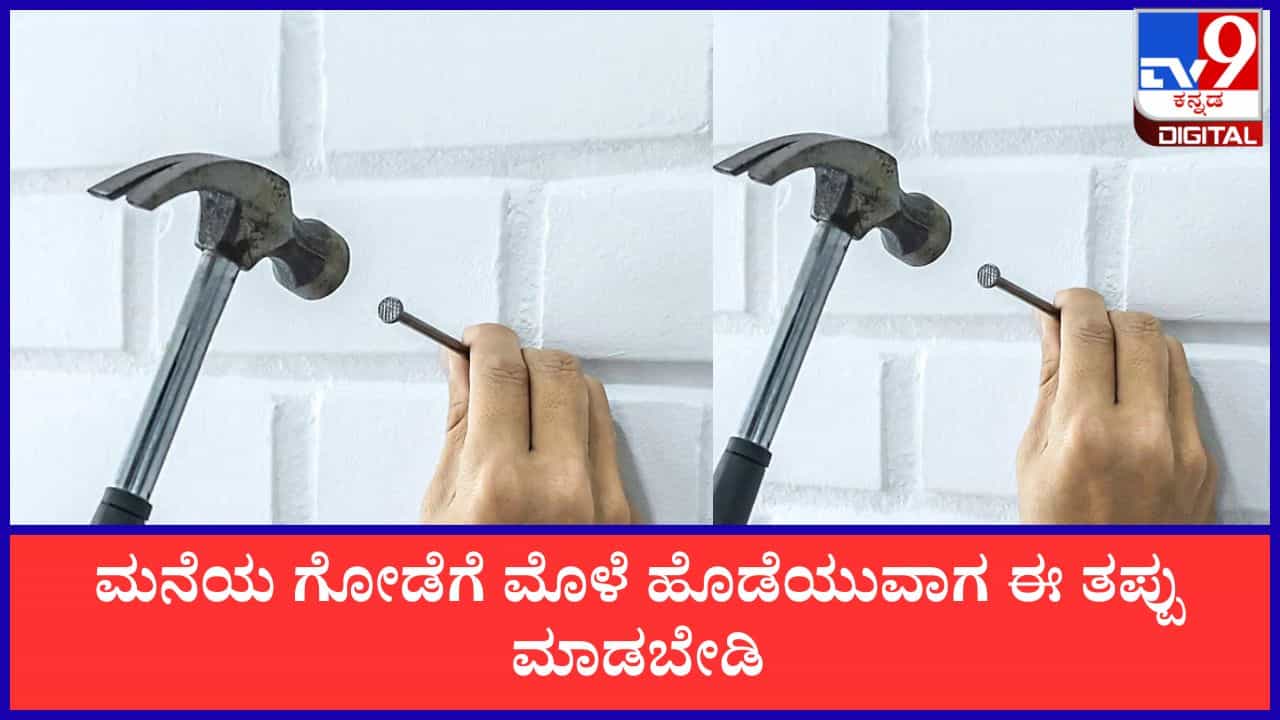 Vastu Tips: ಮನೆಯ ಗೋಡೆಗೆ ಮೊಳೆ ಹೊಡೆಯುವಾಗ ಈ ತಪ್ಪು ಮಾಡಬೇಡಿ; ವಾಸ್ತು ಸಲಹೆ ಇಲ್ಲಿದೆ