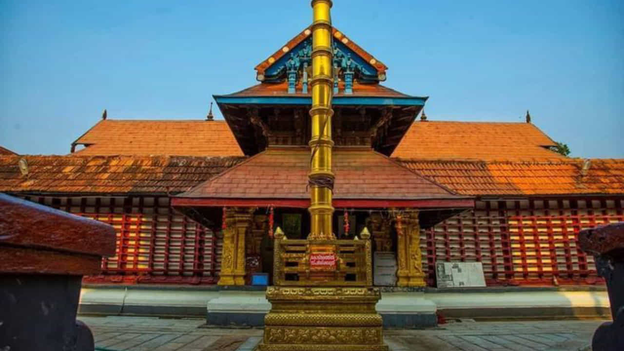 Thiruvarapu Krishna Temple: ನೈವೇದ್ಯ ತಡವಾದರೆ ಇಲ್ಲಿನ ಕೃಷ್ಣನ ಮೂರ್ತಿ ಸಣ್ಣಗಾಗುತ್ತೆ; ವಿಜ್ಞಾನಕ್ಕೂ ನಿಲುಕದ ವಿಸ್ಮಯ ದೇವಾಲಯವಿದು Thiruvarapu Krishna Temple: ನೈವೇದ್ಯ ತಡವಾದರೆ ಇಲ್ಲಿನ ಕೃಷ್ಣನ ಮೂರ್ತಿ ಸಣ್ಣಗಾಗುತ್ತೆ; ವಿಜ್ಞಾನಕ್ಕೂ ನಿಲುಕದ ವಿಸ್ಮಯ ದೇವಾಲಯವಿದು