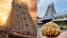 ಮೇ ತಿಂಗಳಲ್ಲಿ 1.21 ಕೋಟಿಗೂ ಅಧಿಕ ತಿರುಪತಿ ಲಡ್ಡು ಮಾರಾಟ!