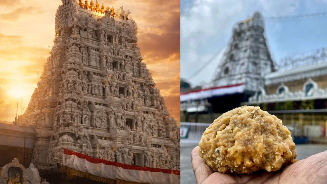 Tirumala Laddus: ದಾಖಲೆ ಬರೆದ ಶ್ರೀವಾರಿ ಪ್ರಸಾದ; ಮೇ ತಿಂಗಳಲ್ಲಿ 1.21 ಕೋಟಿಗೂ ಅಧಿಕ ತಿರುಪತಿ ಲಡ್ಡು ಮಾರಾಟ!