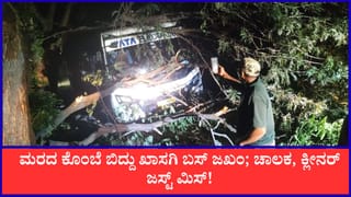 ಮರದ ಕೊಂಬೆ ಬಿದ್ದು ಖಾಸಗಿ ಬಸ್ ಜಖಂ; ಚಾಲಕ, ಕ್ಲೀನರ್ ಜಸ್ಟ್ ಮಿಸ್!