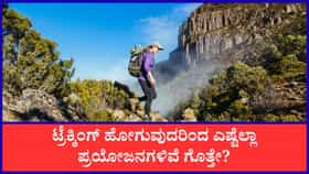 ಟ್ರೆಕ್ಕಿಂಗ್‌ ಹೋಗುವುದರಿಂದ ಲಭಿಸುವ ಪ್ರಯೋಜನಗಳೇನು?