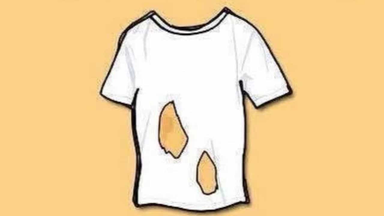 Brain Teaser: ನಿಮ್ಮ ಬುದ್ಧಿವಂತಿಕೆಗೊಂದು ಸವಾಲ್; ಈ ಹರಿದ ಅಂಗಿಯಲ್ಲಿ ಎಷ್ಟು ರಂಧ್ರಗಳಿವೆ ಎಂದು ಹೇಳಬಲ್ಲಿರಾ?