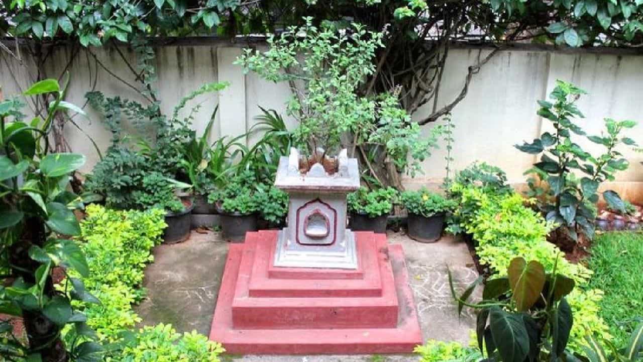 Vastu for Tulsi Plant: ಮನೆಯ ಈ ದಿಕ್ಕಿನಲ್ಲಿ ತಪ್ಪಿಯೂ ತುಳಸಿ ಇಡಬೇಡಿ!