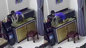 ಫಿಶ್ ಟ್ಯಾಂಕ್ ಒಳಗಿಳಿದು ಮೀನು ಹಿಡಿದ ಪುಟ್ಟ ಬಾಲಕ