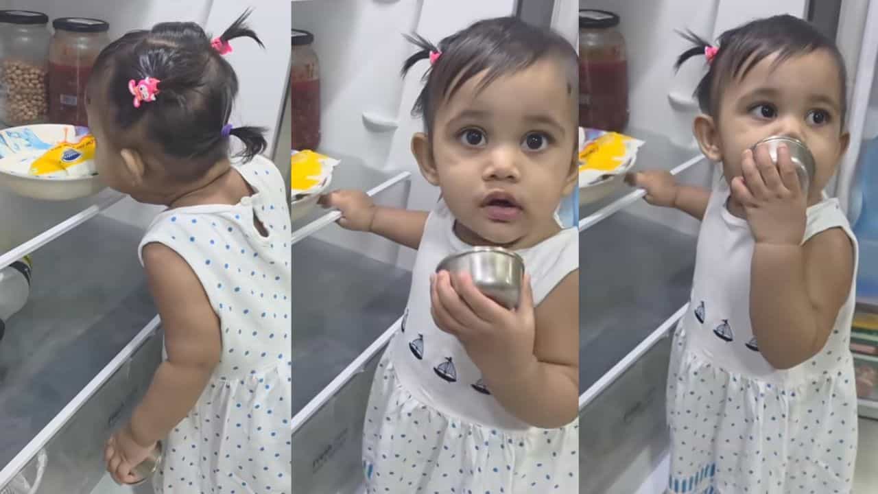 Video: ಫ್ರಿಡ್ಜ್‌ನಲ್ಲಿದ್ದ ಮೊಸರನ್ನು ಕದ್ದು ತಿಂದ ಪುಟಾಣಿ, ವೈರಲ್‌ ಆಯ್ತು ದೃಶ್ಯ