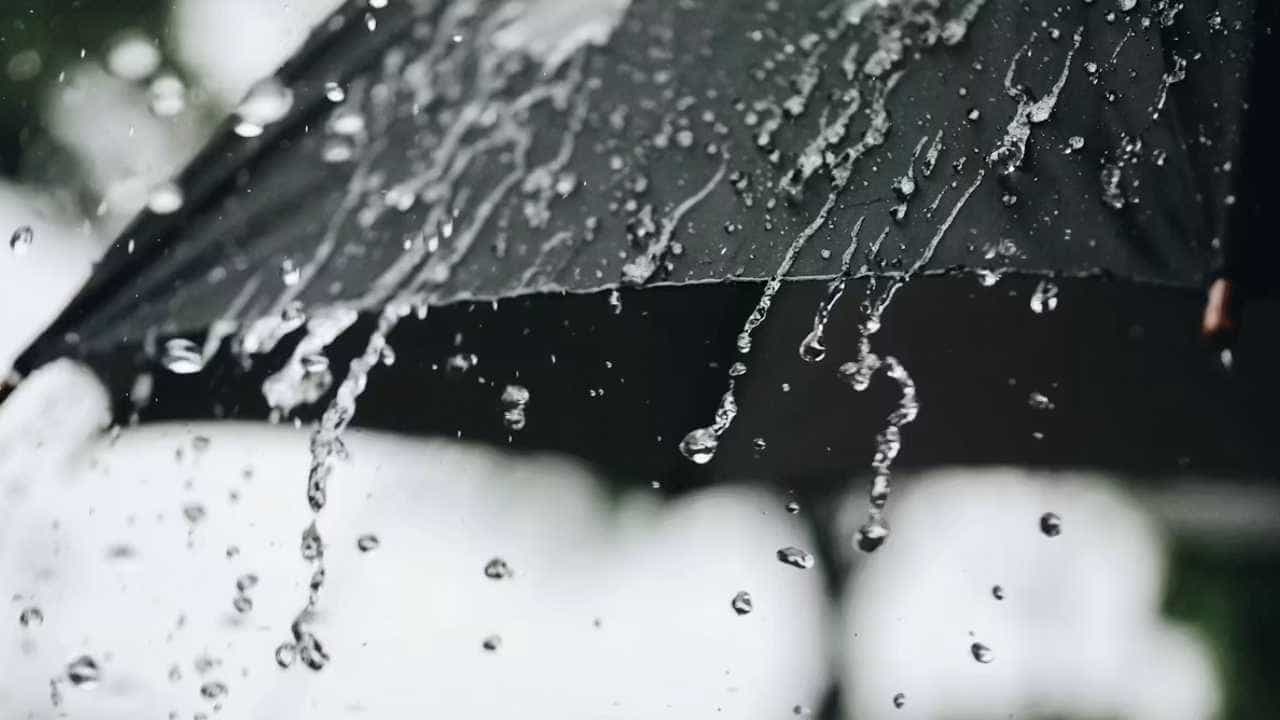 Karnataka Weather Forecast: ಕರಾವಳಿ ಸೇರಿದಂತೆ ರಾಜ್ಯದ ಹಲವೆಡೆ ಗಾಳಿ, ಮಳೆಯಬ್ಬರ! Karnataka Weather Forecast: ಕರಾವಳಿ ಸೇರಿದಂತೆ ರಾಜ್ಯದ ಹಲವೆಡೆ ಗಾಳಿ, ಮಳೆಯಬ್ಬರ!
