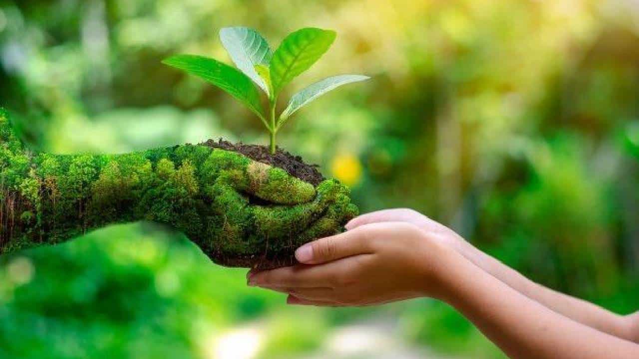 World Environment Day 2026: ಪರಿಸರವನ್ನು ಸಂರಕ್ಷಿಸುವ ಜವಾಬ್ದಾರಿ ನಮ್ಮೆಲ್ಲರ ಮೇಲಿದೆ