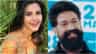 ‘ಯಶ್ ಸಿನಿಮಾ ಎಂದರೆ ಏನೋ ಒಂದು ಅದ್ಭುತ ವಿಷಯ ಇರುತ್ತೆ’; ಪ್ರಿಯಾ ಆನಂದ್