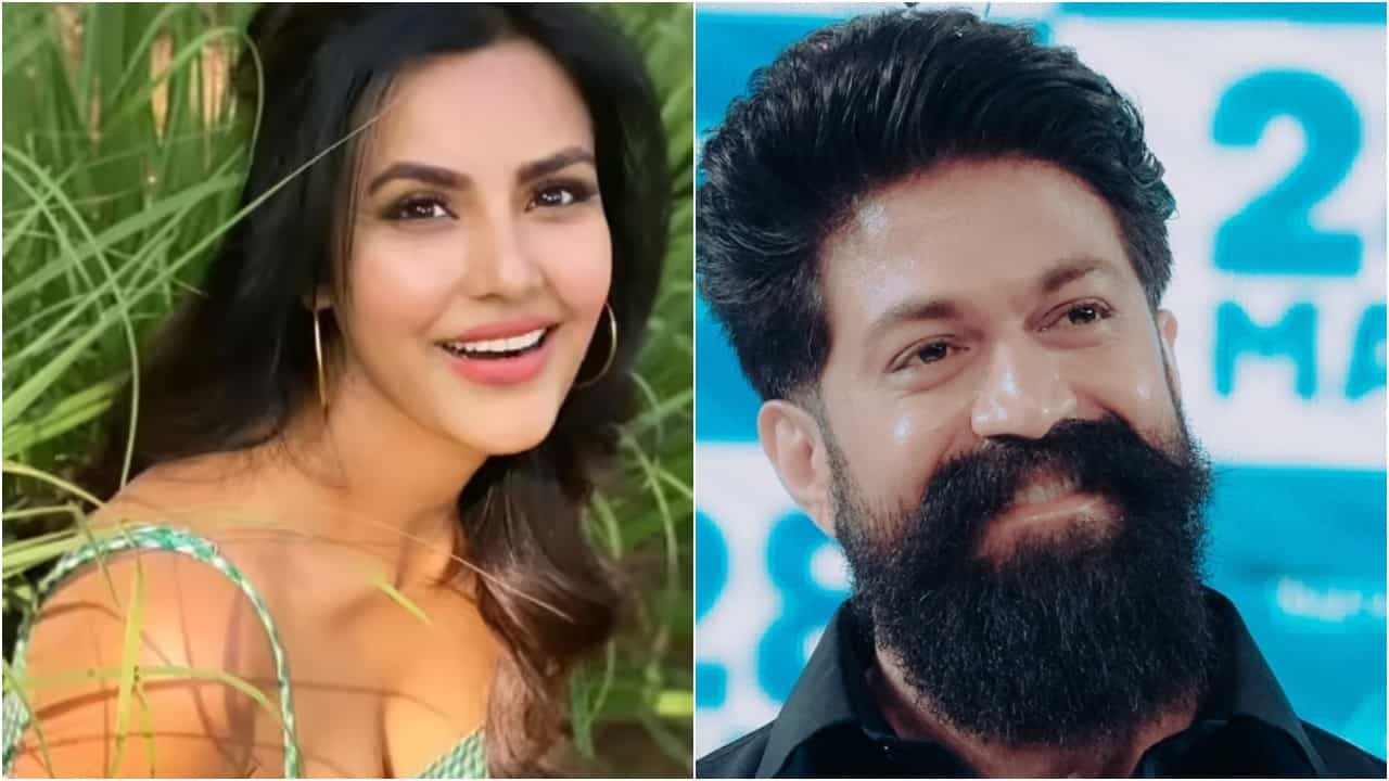 ‘ಯಶ್ ಸಿನಿಮಾ ಎಂದರೆ ಏನೋ ಒಂದು ಅದ್ಭುತ ವಿಷಯ ಇರುತ್ತೆ’; ‘ಟಾಕ್ಸಿಕ್’ ಬಗ್ಗೆ ಪ್ರಿಯಾ ಆನಂದ್ ಮಾತು