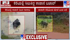 ಕರೆಯಲ್ಲಿ ಸಿಲುಕಿದ್ದ ಕಾಡಾನೆ ಬಚಾವ್, 2 ದಿನ ನರಳಾಡಿ ತನ್ನಷ್ಟಕ್ಕೇ ತಾನೆ ಆಚೆ ಬಂದ ಆನೆ